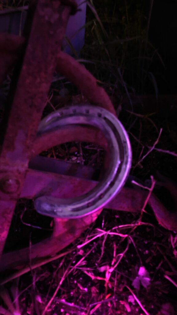 IMG_5708.jpeg